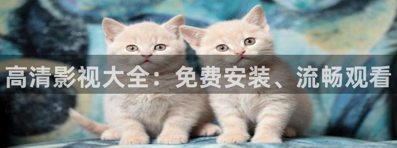 酷客电影免费观看