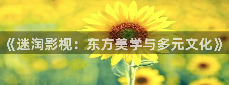 酷客电影在线看：《迷淘影视：东方美学与多元文化》