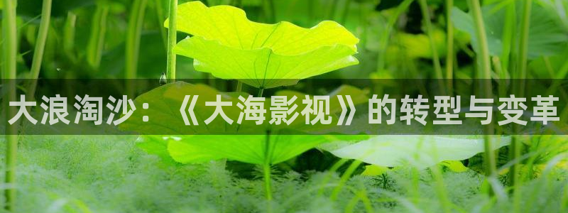 酷客影院在线播放免费观看手机：大浪淘沙：《大海影视》的转型与变革