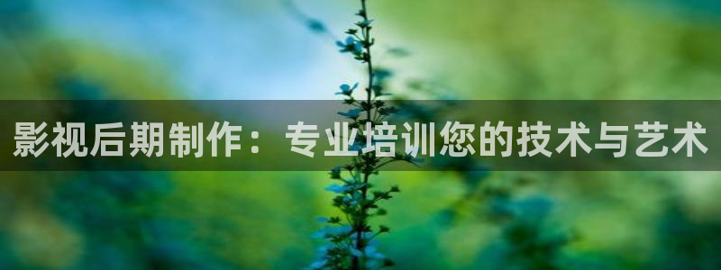 酷客影院手机在线观看免费：影视后期制作：专业培训您的技术与艺术