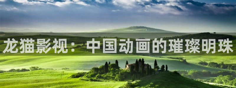 酷客影院免费电影在线观看：龙猫影视：中国动画的璀璨明珠