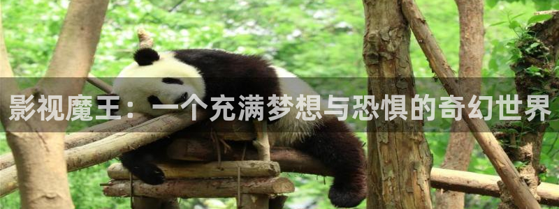 酷客电影网：影视魔王：一个充满梦想与恐惧的奇幻世界