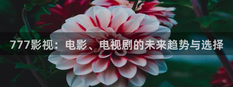 酷客影院最新入口：777影视：电影、电视剧的未来趋势与选择